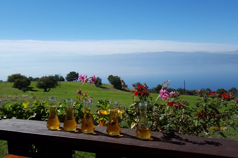 Ohrid Lake 16
