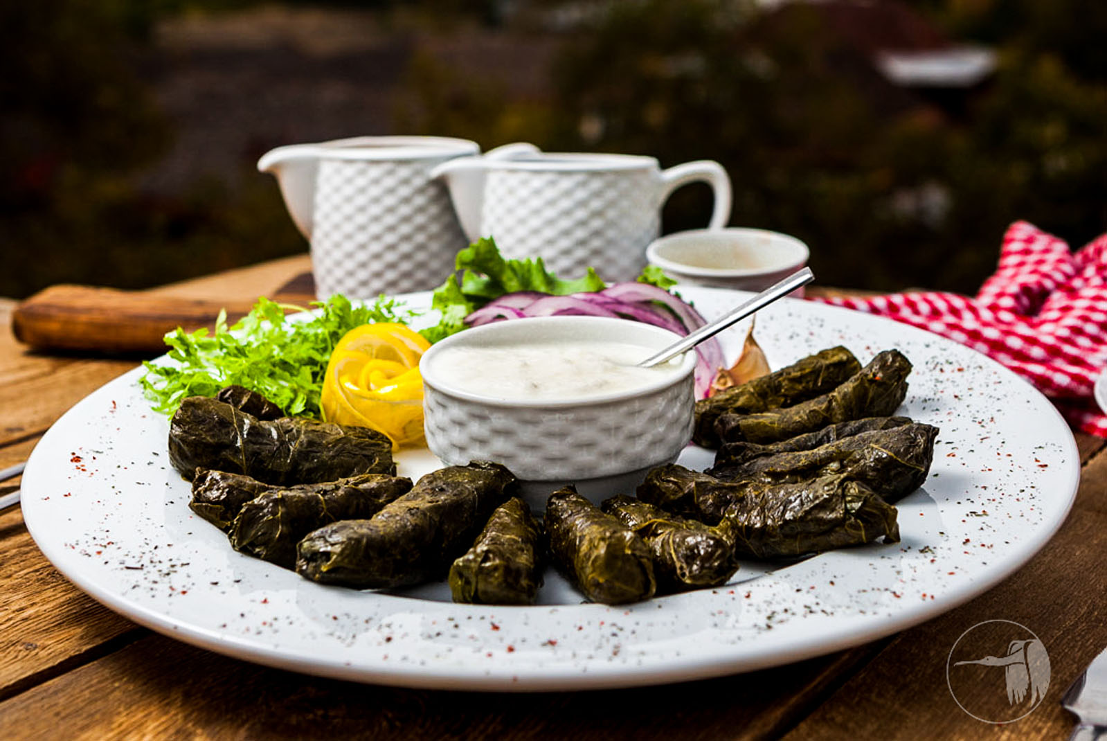 Delicious stuffed grape leaves in a plate with a village on back